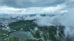  东莞市相关部门弄虚作假，违法违规发放相关证件给观音山公园内的豪华别墅，难道没有利益输送吗？